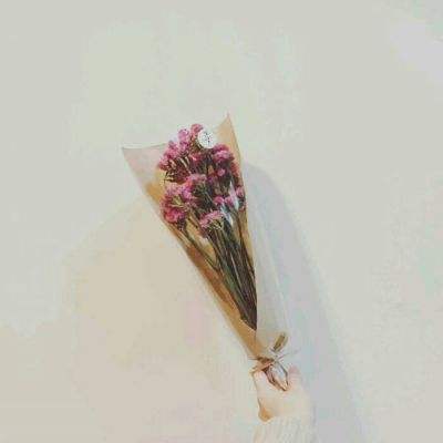 王者美职篮游戏下载
